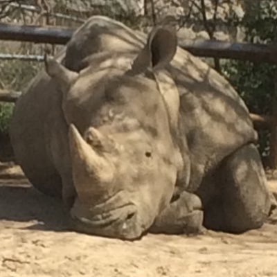 Isaiah73807433's profile picture. make America great again 🇺🇸