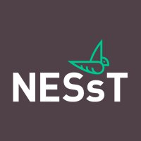 NESsT(@nesstorg) 's Twitter Profile Photo