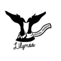 Lilymoo Hound Coats (@lilymoo_) 's Twitter Profile