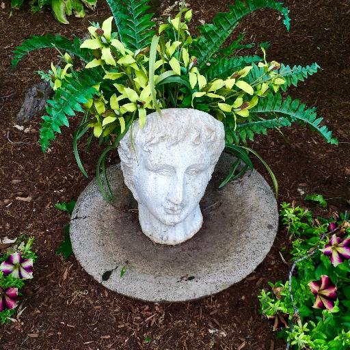 JenSell10's profile picture. Working to help people to empower themselves through education.    jenniferasell@gmail.com  https://t.co/rsZPe2Few1  https://t.co/86BuqDSafs