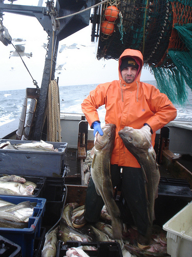 jperos's profile picture. 