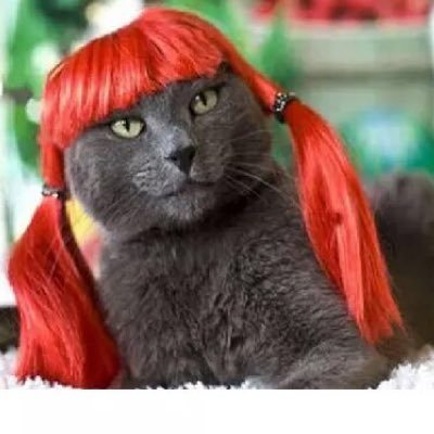 clericassassin's profile picture. I am AWESOME