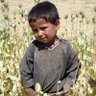 mansfieldintinc's profile picture. Author of "A State Built on Sand: How opium undermined Afghanistan" https://t.co/6WrAsEsJvW