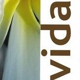 Vidatherapy Spa, a haven of peace & tranquility offers alternative therapies, therapeutic massage & Aveda beauty treatments. Contact: 020 8614 1199