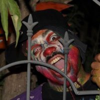 Troma Dan (@therealtromadan) 's Twitter Profile