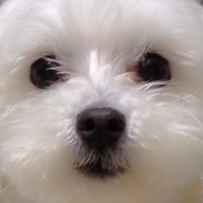 soozy411's profile picture. 