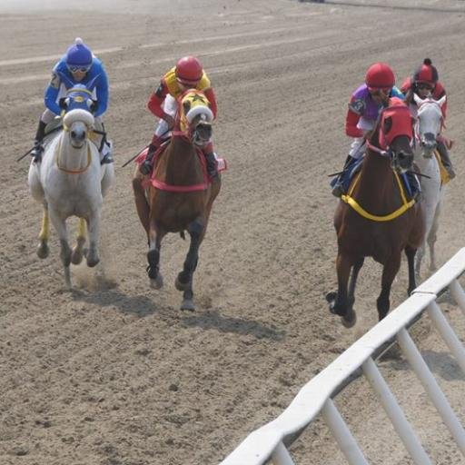 CasinoHipico's profile picture. Donde puedes jugar Remates-Pollas-Dupleta Juega,Liga Y Cobra Seguro