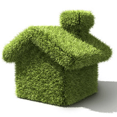 TheNewSolution's profile picture. Website design, hosting, domain name management, remote support, software applications, and I.T. solutions.