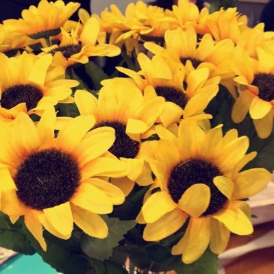 kguhimawari's profile picture. 関西外国語大学🌻ボランティア団体ひまわり🌻の公式アカウントです！ ⚠️お手数ですが活動依頼は本学学生部を通じてお願いいたします。#関西外大 #kgu #ボランティア団体ひまわり 🕊🕊⇩公式インスタグラム↓ https://t.co/BHDfn1NfYr 質問受け付けてます！