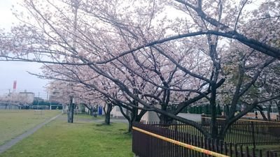 HAWKS83605380's profile picture. いろいろな人と話したいです(笑)
無言フォローすみません、
引っ越したばっかりやけん知り合い増やす！
博多やのに関西からきたけん関西弁です(笑)
治さな(笑)