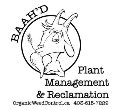 Offering the world's best in Organic Weed Control. Non-toxic solutions for Commercial, Urban and Rural landscapes.
