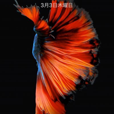 OvDEvdbI4kMtcM2's profile picture. 