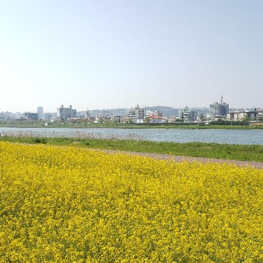 guseotk2's profile picture. Ulsan-gahyeon