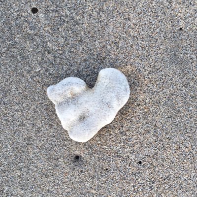 ChaplickJ's profile picture. 