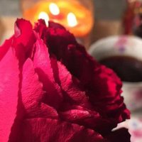 Abdellah (@asdf222781) 's Twitter Profile