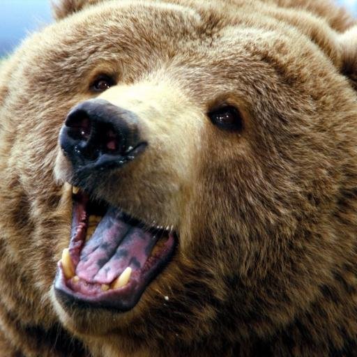 DoctorDimbleton's profile picture. I sometimes go to Sm4sh tourneys.