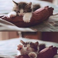 مبادل زاير الدوادمي (@zzz6222) Twitter profile photo