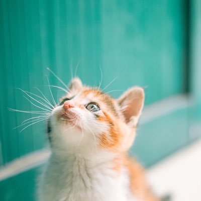 XinbinHan's profile picture. 