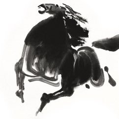 孔祥豪 Profile