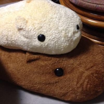 0yukisiki's profile picture. 文大でした 社会人　心はいつまでも道産子