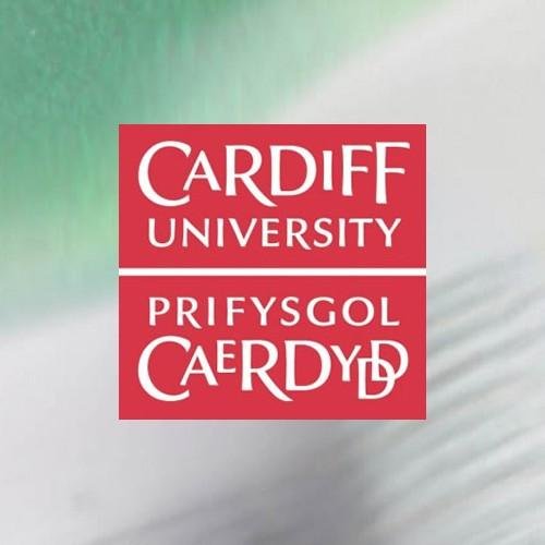 Cardiff University's School of English, Communication & Philosophy. Tweets on English Literature & Language, Critical & Cultural Theory, & Philosophy.
