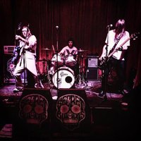 The Secret Buttons (@secretbuttons) 's Twitter Profile