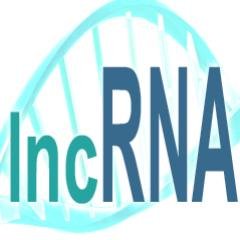 lncRNA Research & Industry News
