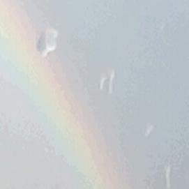 eigo98917's profile picture. 