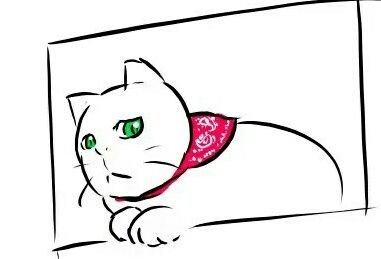nekota(まったり活動中☕😺)さんのプロフィール画像