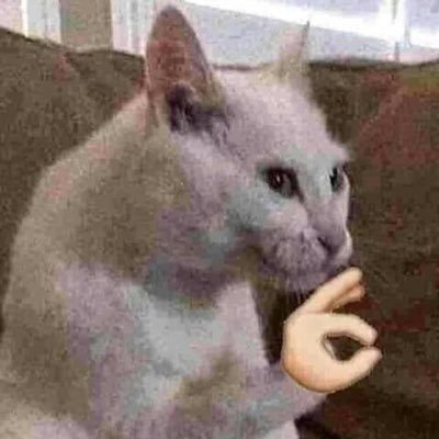 ACOOLVERSIONOFU's profile picture. I like to be cool but to bee cool you have to be not Muslim :0