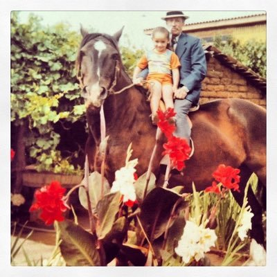 Periodista 🇨🇱, ahora dedicada a los bienes raíces. Casada ❤ mamá de Domingo, Lucas y Facundo.
Oriunda de la comuna de Ránquil, Ñuble.