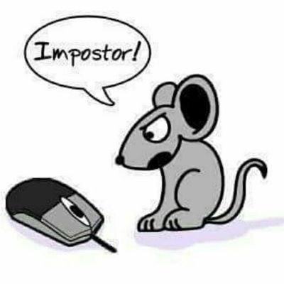 wanderaalfred1's profile picture. hustler