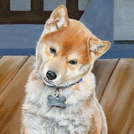 I paint custom #petportraits from photographs.  I also #watercolor, #colorpencil and #pastel.  Lots of new art coming to my Etsy shop this year!