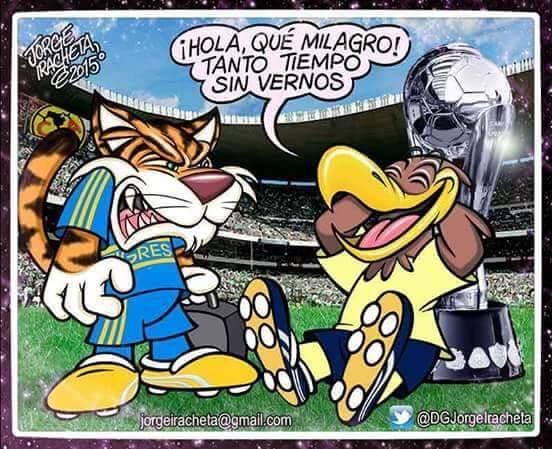 puchismp's profile picture. hola