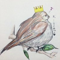 わきんこ+(@WR_himawari) 's Twitter Profile Photo