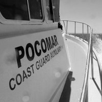 POCOMAR (@pocomar1) 's Twitter Profile