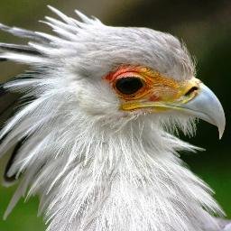 I'm a self-confessed governance nerd with interests in wildlife, conservation, amateur photography and post-war history.