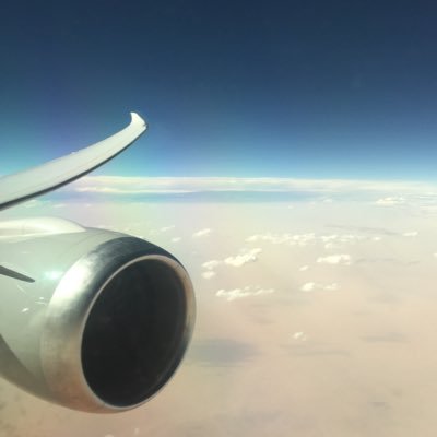 danyday12's profile picture. 