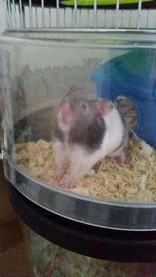 mrsg090909's profile picture. 🦄🏴󠁧󠁢󠁳󠁣󠁴󠁿
💏
💙💙💙💙💙
🐶🐶🐱🐱🐹
🥋🎮🍷🍾🎶📚🛒🎄