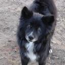 Lacey Westbrook - @Ishmael528 - Twitter