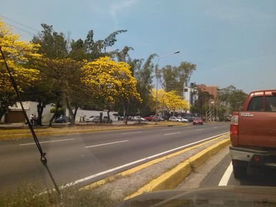 simplemente Dinora...  Imperfecta cada día, pero con ganas de aprender!