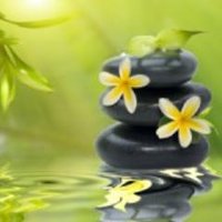 Angelmindbodyspirit (@angelmindbodysp) 's Twitter Profile