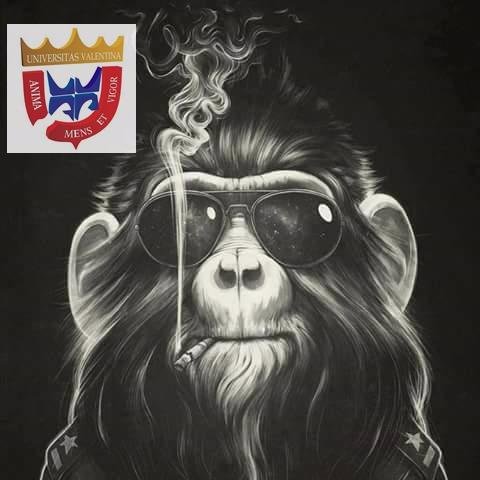 Últimas noticias de la UJAP. Desde los vagos de la casita hasta ''profe cuánto quiere pa´pasar la materia'' ¡NO AL AUMENTO DEL NESTEA!