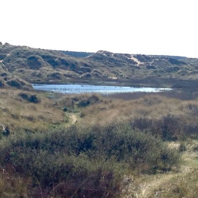 curiousboo's profile picture. All my own fancies.