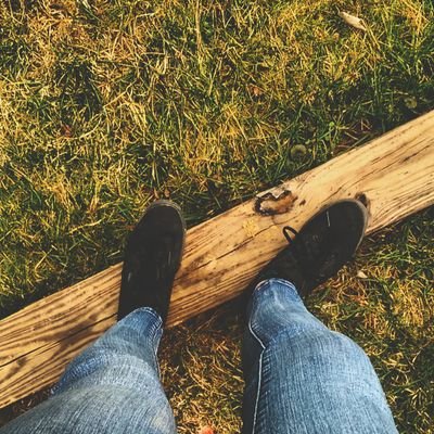 B17_Links's profile picture. I'm weird, that's all you need to know.