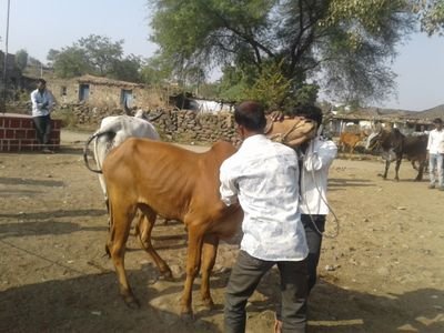 ravipat69662318's profile picture. 