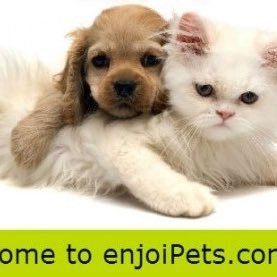 enjoi_Pets Profile Picture