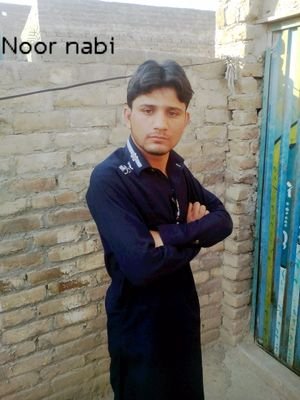 NoornabiKhan7's profile picture. biological