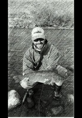 benjamarolda's profile picture. Agronomo devenido en marketinero. Mosquero apasionado amante de la naturaleza y su delicado equilibrio.
Mis opiniones son personales