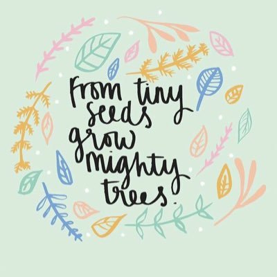 A brand new project working with Uphill Primary School, WsM, bringing gardening and growing our own food into school. Healthier kids make happier kids!